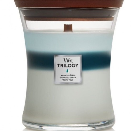 Icy woodlands medium trilogy jar