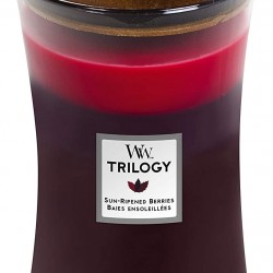 Sun-ripened berries large trilogy jar