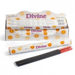 Divine Incense sticks x20pk