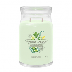 Signature cucumber mint large jar 