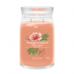 Signature tropical breeze large jar 