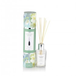 Snowdrop & jasmine reed diffuser 