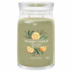 Signature sage & citrus large jar 