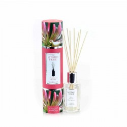 Honeysuckle blooms reed diffuser refill