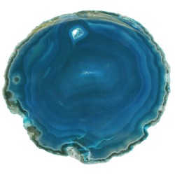 Agate slice 3-4" Green