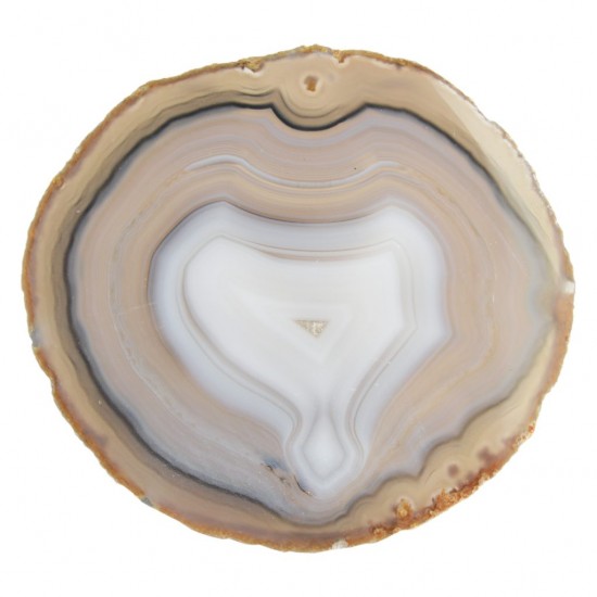 Agate slice 3-4" Natural