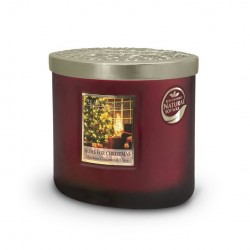 2 Wick Candle Home For Christmas