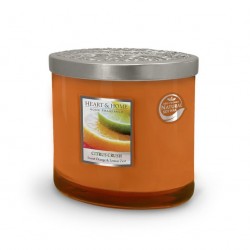 2 Wick Candle Citrus Crush