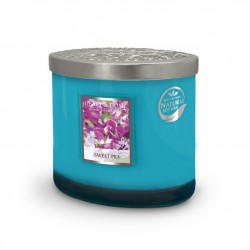 2 Wick Candle Sweet Pea