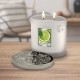 2 Wick Candle Lime Splash